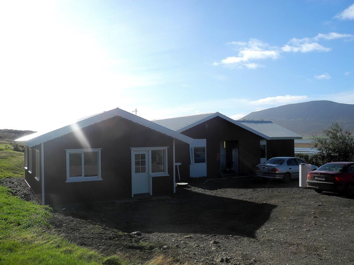 Icelandhorsetours - Helluland Saudarkrokur Bagian luar foto